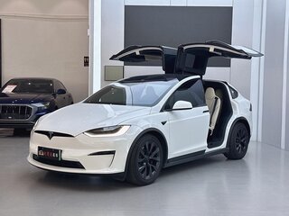 2023 Tesla Model X Long Range I Рестайлинг, белый, 15770700 рублей, вид 1