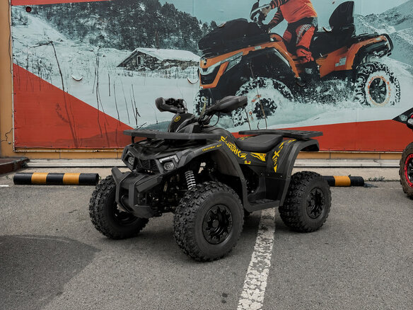 2026 Другие Мотовездеходы (другие), чёрный, 144900 рублей