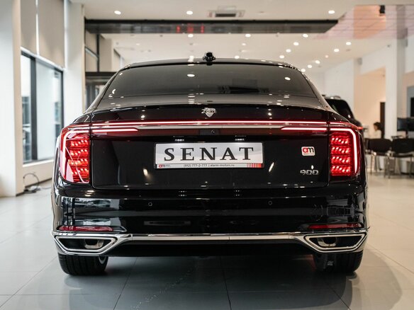 2026 Senat 900, чёрный, 12000000 рублей - вид 10