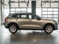2026 Haval Jolion I Рестайлинг 2, серый, 2949000 рублей - вид 4