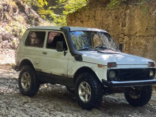 2003 Lada (ВАЗ) 2121 (4x4) I Рестайлинг, белый, 300000 рублей, вид 1