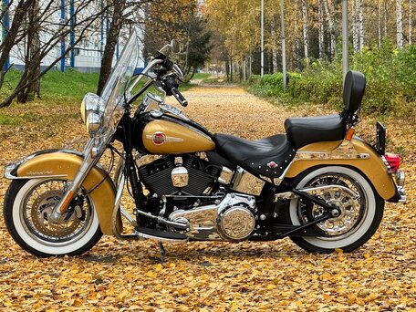 2017 Harley-Davidson Heritage, золотистый, 1290000 рублей, вид 3
