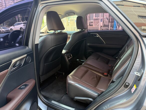 2018 Lexus RX 300 IV, серый, 3450000 рублей - вид 17