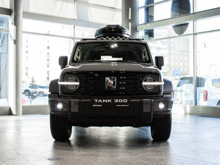 2026 Tank 300 I, серый, 5249000 рублей, вид 3