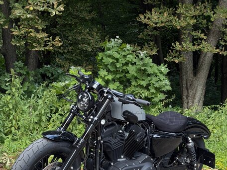 2020 Harley-Davidson Sportster 1200, серый, 1900000 рублей, вид 5