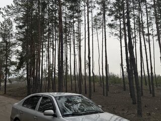 2002 Skoda Octavia I (A4) Рестайлинг, серебристый, 555000 рублей, вид 3