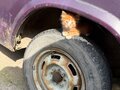 2003 Lada (ВАЗ) 2107, фиолетовый, 45000 рублей - вид 7