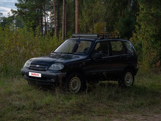 2008 Chevrolet Niva I, синий, 250000 рублей, вид 4