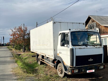 2010 МАЗ 4370, белый, 1090000 рублей, вид 2