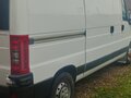 2010 Fiat Professional Ducato, белый, 900000 рублей - вид 3