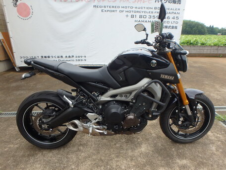 2014 Yamaha MT-09 (FZ-09), фиолетовый, 670000 рублей, вид 5