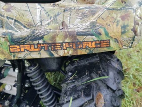 2012 Kawasaki KVF 750 Brute Force, коричневый, 800100 рублей, вид 5