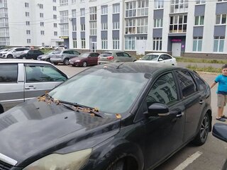 2010 Ford Focus II Рестайлинг, чёрный, 385000 рублей, вид 2