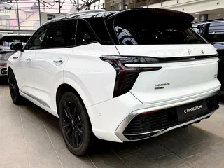 2024 Hongqi HS3, белый, 3300000 рублей, вид 5
