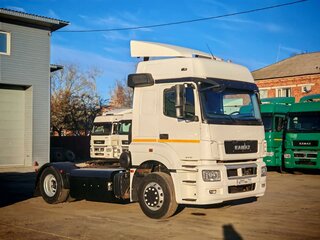2019 КамАЗ 5490, белый, 1790000 рублей, вид 1