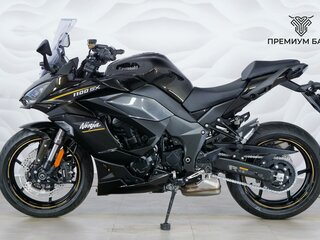 2026 Kawasaki Ninja 1100 SX, коричневый, 1649000 рублей, вид 2