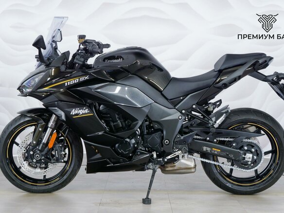 2026 Kawasaki Ninja 1100 SX, коричневый, 1649000 рублей - вид 1