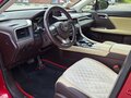 2019 Lexus RX 300 IV, красный, 4955000 рублей - вид 6