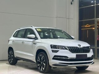 2025 Skoda Karoq I, белый, 2450000 рублей, вид 3
