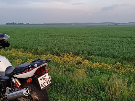 2000 Honda CB 1300, красный, 470000 рублей, вид 2