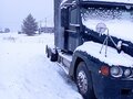 2001 Freightliner Century Class, чёрный, 780000 рублей - вид 2