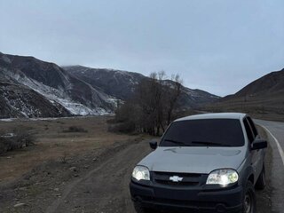 2013 Chevrolet Niva I Рестайлинг, коричневый, 550000 рублей, вид 1