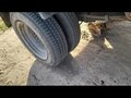 1994 ГАЗ ГАЗель (3302), бежевый, 235000 рублей - вид 2