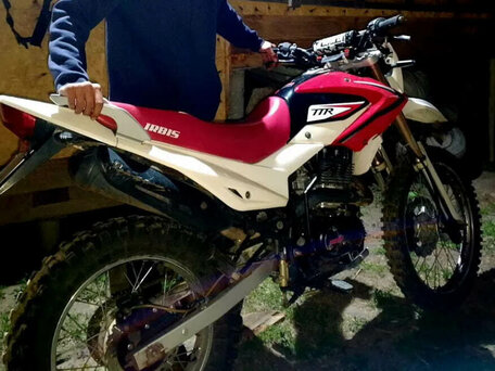 2013 Irbis TTR 250, красный, 80000 рублей, вид 3