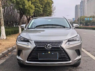 2020 Lexus NX 200 I Рестайлинг, серебристый, 2550000 рублей, вид 2