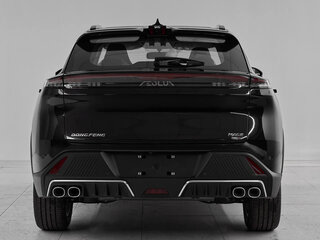 2025 Dongfeng Mage, чёрный, 2550000 рублей, вид 5