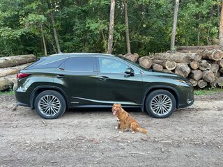 2020 Lexus RX 450h IV Рестайлинг, зелёный, 6838693 рублей, вид 5