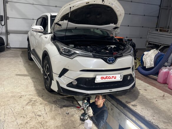 2017 Toyota C-HR I, белый, 1605000 рублей - вид 15