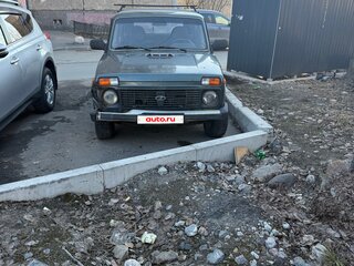 2011 Lada (ВАЗ) 2131 (4x4) Рысь I, серый, 200000 рублей, вид 1