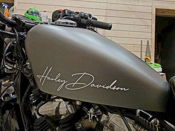 2021 Harley-Davidson Sportster 1200, серый, 1250000 рублей - вид 19