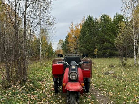 1998 ТМЗ (Туламашзавод) Рысь 6.903, красный, 65000 рублей, вид 4