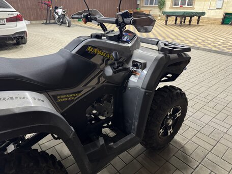 2024 Bashan Explorer 300, серебристый, 390000 рублей, вид 5