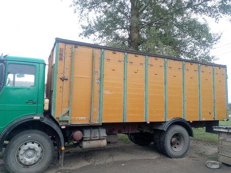 1984 Mercedes-Benz Sprinter Classic, зелёный, 500000 рублей, вид 4