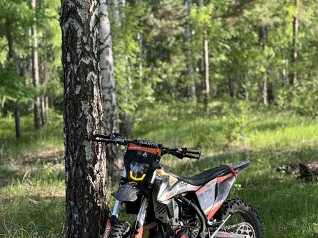 2022 Avantis Enduro 300 Pro/EFI, чёрный, 225000 рублей, вид 4