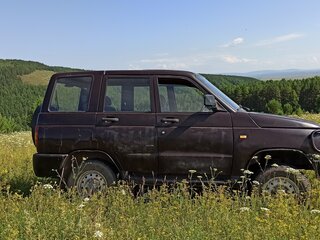 2000 УАЗ 31605, коричневый, 300000 рублей, вид 3