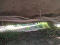 2010 Daewoo Nexia I Рестайлинг, чёрный - вид 9