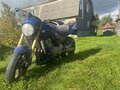2005 Honda CB 600F Hornet, синий, 420000 рублей - вид 2