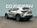 2021 Lexus NX 250 II, серый, 5999000 рублей - вид 1