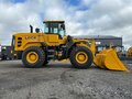 2026 LGCE L956F, жёлтый - вид 4