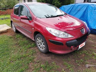2006 Peugeot 307 I Рестайлинг, красный, 250000 рублей, вид 3