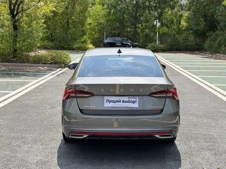 2022 Skoda Octavia IV (A8), серый, 1600077 рублей, вид 5