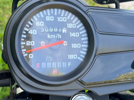 2025 Regulmoto Monster 200, белый, 120000 рублей, вид 2