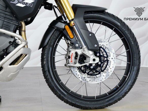 2024 Triumph Tiger 1200, серый, 1799000 рублей - вид 10