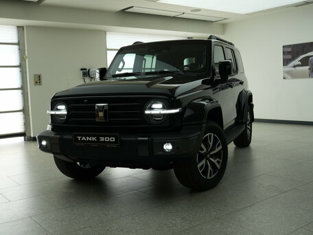 Tank 300 I