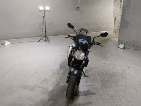 2020 Suzuki SV 650, белый, 677000 рублей, вид 3