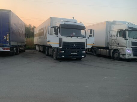 2011 МАЗ 5440, белый, 1300000 рублей, вид 2